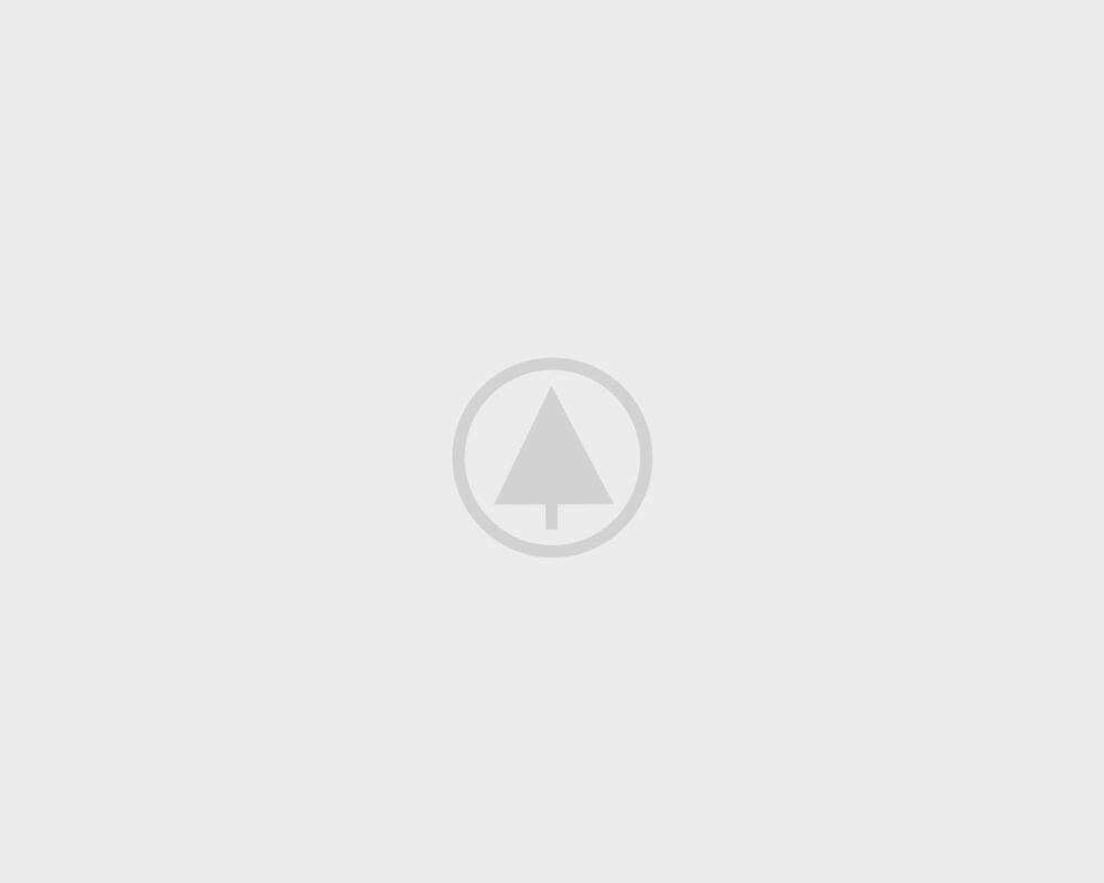 wood-gallery-placeholder-5